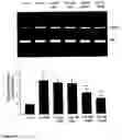 Fig. 10 - Methods of suppression of rage gene expression and rage triggered inflammatory genes by selected age-inhibitors