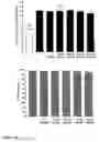 Fig. 11 - Methods of suppression of rage gene expression and rage triggered inflammatory genes by selected age-inhibitors