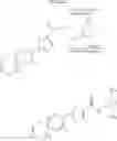 Fig. 26 - Spirocyclic compounds