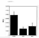Fig. 08 - Metalloprotein inhibitors