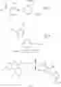 Fig. 27 - Heterocyclic antiviral compounds