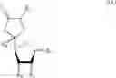 Fig. 25 - Sugar derivatives comprising oxiranes or α, β-unsaturated γ-lactones, process for their preparation and their utilisation as pesticides