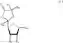 Fig. 27 - Sugar derivatives comprising oxiranes or α, β-unsaturated γ-lactones, process for their preparation and their utilisation as pesticides