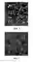 Fig. 02 - Melt processible fluoropolymer composition containing nano particles