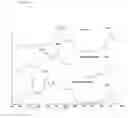 Fig. 02 - Process for producing silane crosslinked polyethylene