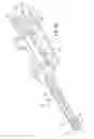 Fig. 04 - Surgical site marker delivery system