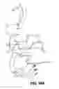 Fig. 22 - Cervical collar