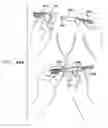 Fig. 41 - Automatic needle device