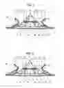 Fig. 06 - Absorbent article