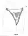 Fig. 02 - Disposable, absorbent panties