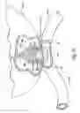 Fig. 37 - Obesity treatment tools and methods