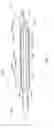 Fig. 08 - BALLOON CATHETER FOR MULTIPLE ADJUSTABLE STENT DEPLOYMENT