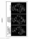 Fig. 10 - System and methods for three dimensional molecular structural analysis