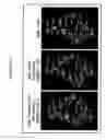 Fig. 11 - System and methods for three dimensional molecular structural analysis