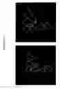 Fig. 19 - System and methods for three dimensional molecular structural analysis