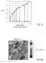 Fig. 04 - Method, system and apparatus for real-time reservoir model updating using ensemble kalman filter