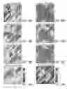 Fig. 19 - Method, system and apparatus for real-time reservoir model updating using ensemble kalman filter