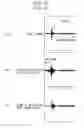 Fig. 12 - Audio encoding apparatus and audio encoding method