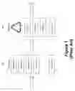 Fig. 02 - Classification and Management of Keywords across Multiple Campaigns