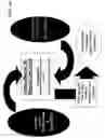Fig. 07 - System and method for centralized clearing of over the counter foreign exchange instruments