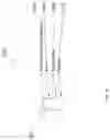 Fig. 17 - ON-OFF HANDSET SEARCH BOX