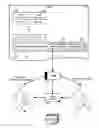 Fig. 01 - Forms integration of an external data model not implemented through a document object model (DOM) accessible application programming interface (API)