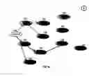 Fig. 27 - Multiple source receiver-driven streaming of content between peers