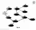 Fig. 30 - Multiple source receiver-driven streaming of content between peers
