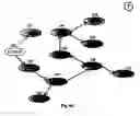 Fig. 31 - Multiple source receiver-driven streaming of content between peers