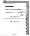 Fig. 06 - Registering and using multilingual domain names