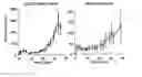 Fig. 01 - Oncohumouse
