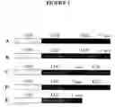 Fig. 03 - Recombinant DNA constructs and methods for controlling gene expression