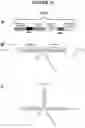 Fig. 11 - Recombinant DNA constructs and methods for controlling gene expression