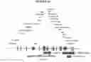 Fig. 19 - Recombinant DNA constructs and methods for controlling gene expression