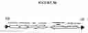 Fig. 31 - Recombinant DNA constructs and methods for controlling gene expression
