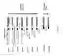 Fig. 03 - Synthetic zinc finger protein encoding sequences and methods of producing the same