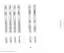 Fig. 23 - Synthetic zinc finger protein encoding sequences and methods of producing the same