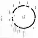 Fig. 03 - Delta-9 elongases and their use in making polyunsaturated fatty acids