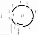 Fig. 04 - Delta-9 elongases and their use in making polyunsaturated fatty acids