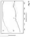 Fig. 17 - Copolymerization and copolymers of aromatic polymers with carbon nanotubes and products made therefrom