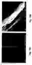 Fig. 19 - Copolymerization and copolymers of aromatic polymers with carbon nanotubes and products made therefrom