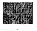 Fig. 02 - Method for the rapid synthesis of large quantities of metal oxide nanowires at low temperatures