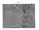 Fig. 05 - Method for the rapid synthesis of large quantities of metal oxide nanowires at low temperatures