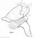 Fig. 13 - Knee pad construction