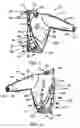 Fig. 04 - Split sports jacket