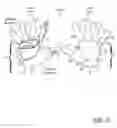 Fig. 04 - Exposed Palm Glove and Method of Use