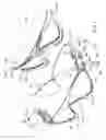 Fig. 02 - Swimming goggles