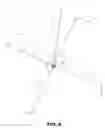 Fig. 10 - Mop with insert