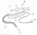 Fig. 01 - Portable vacuum cleaner and method for storing a vacuum hose