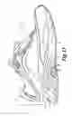 Fig. 15 - Enhanced unitary sole assembly